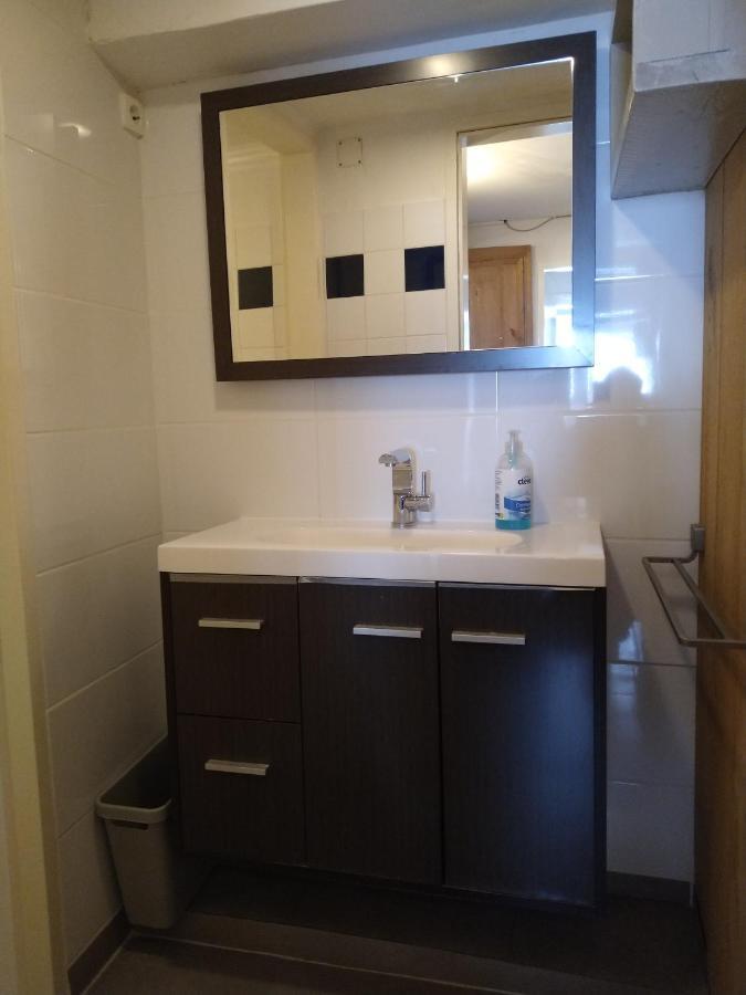 Apartment Haarlem ゴーザウ エクステリア 写真